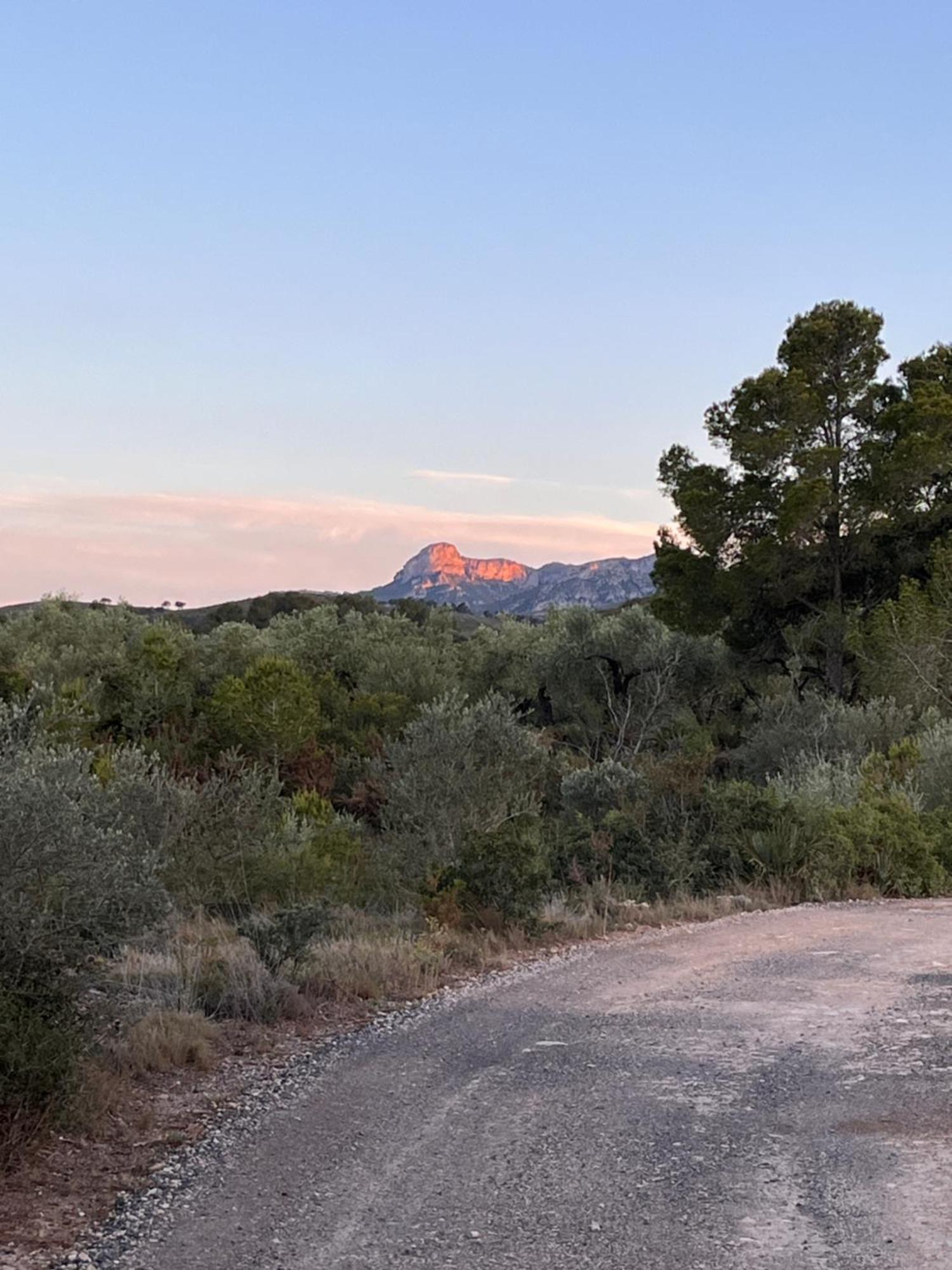 Casa Solans - Casa Rural Rasquera エクステリア 写真
